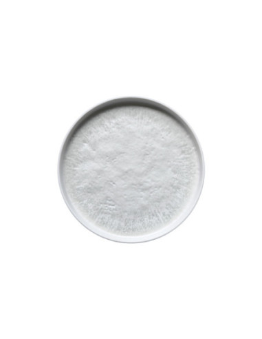 ADRIER - RPSE254-BRU Pack de 12 Unidades - Colección Bruma - Plato redondo c/borde recto - 25,4 cm x 2,5 cm alto