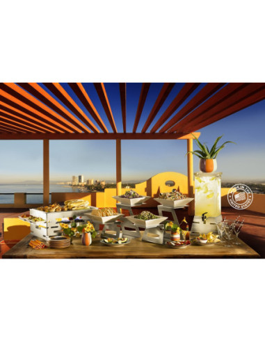 Kit Riser Swan 5piezas Acero Inox Rosseto